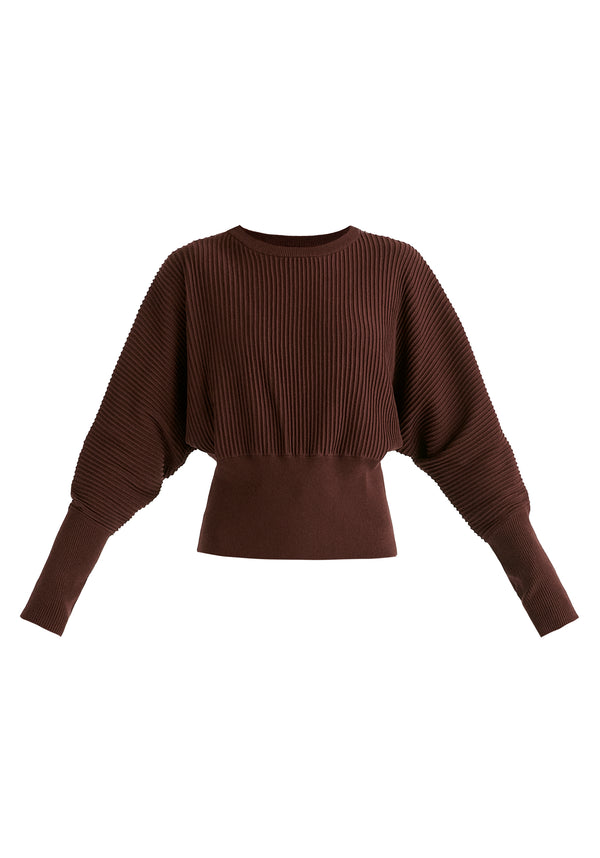 Ribbed Batwing Sleeve Knit Top with Fitted Waist in Brown Cutout