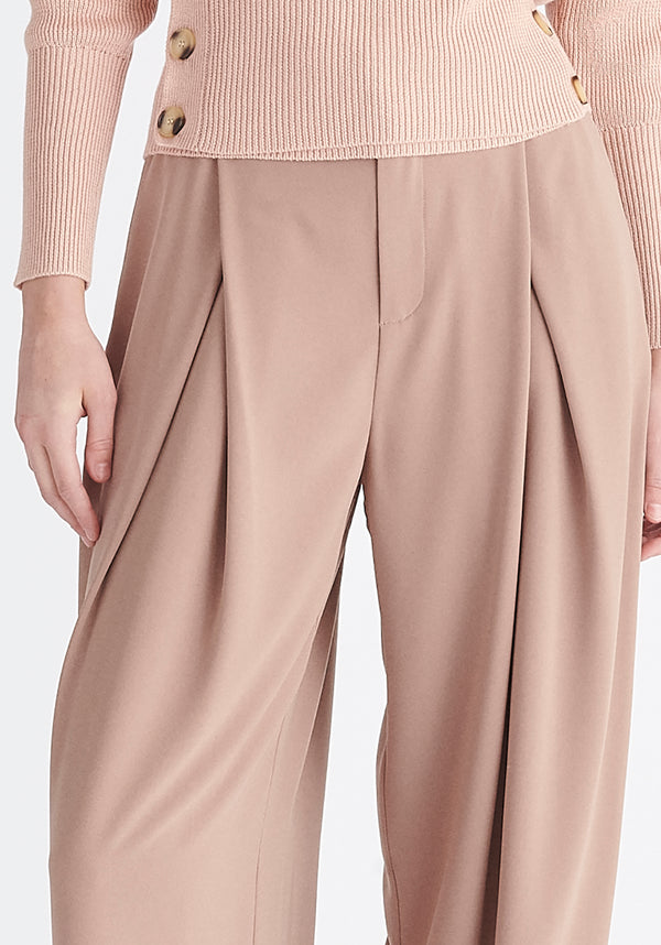 Paisie Pleated High Waist Trousers in Taupe Close Up