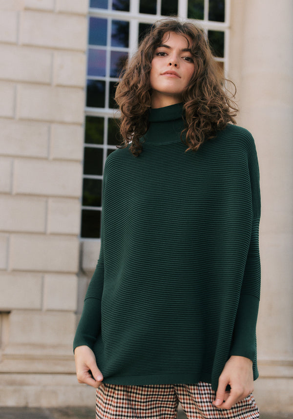 Paisie Turtleneck Ribbed Jumper