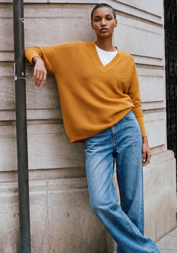 Paisie V-Neck Ribbed Jumper