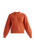 Paisie Knitted Polo Jumper in Rust Cut Out
